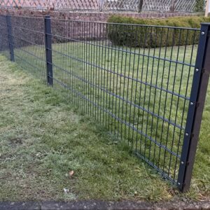 photo 2026 01 27 18 05 55